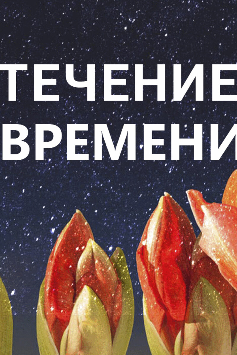 побеждая время фильм