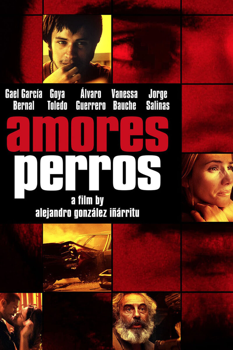 Amores Perros (2000) | Kinoafisha