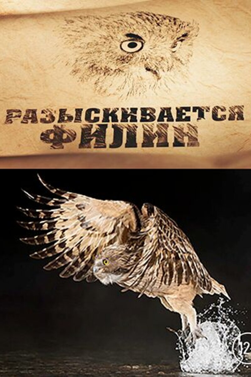 Филин Сериал Актеры И Роли Фото Филин Сериал Актеры И Роли Фото