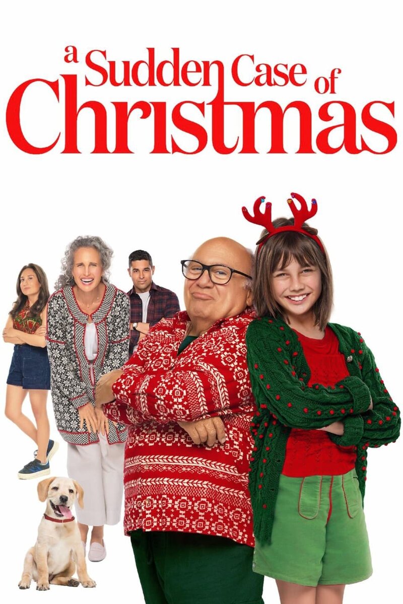 A Sudden Case of Christmas 2024 Kinoafisha