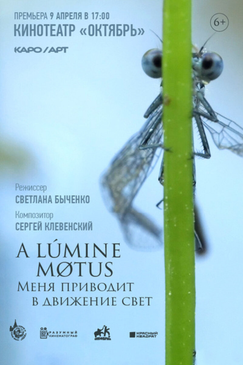 Меня приводит в движение свет (2023): купить билет в кино | расписание  сеансов в Шаховской на портале о кино «Киноафиша»