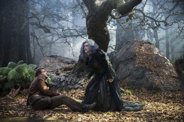 Into the Woods (2014) - photo 8