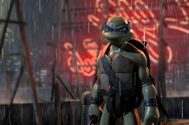 Teenage Mutant Ninja Turtles / TMNT (2007) - photo 14