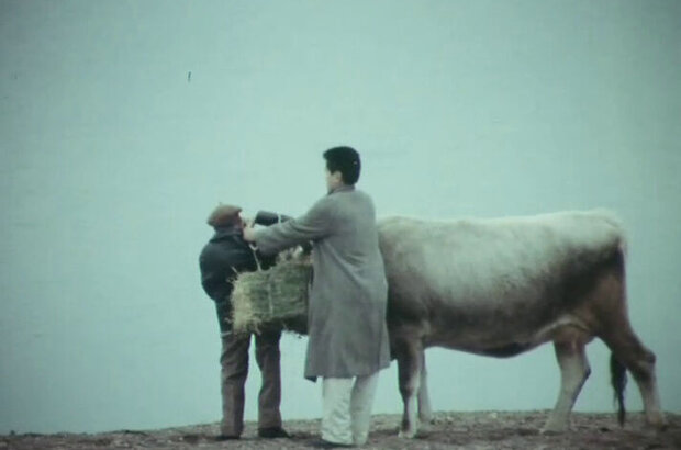 Little Fish In Love (1989) - photo 9