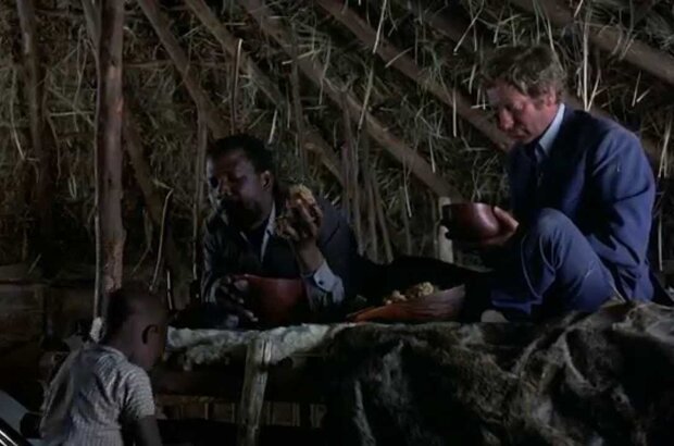 The Wilby Conspiracy (1975) - photo 5