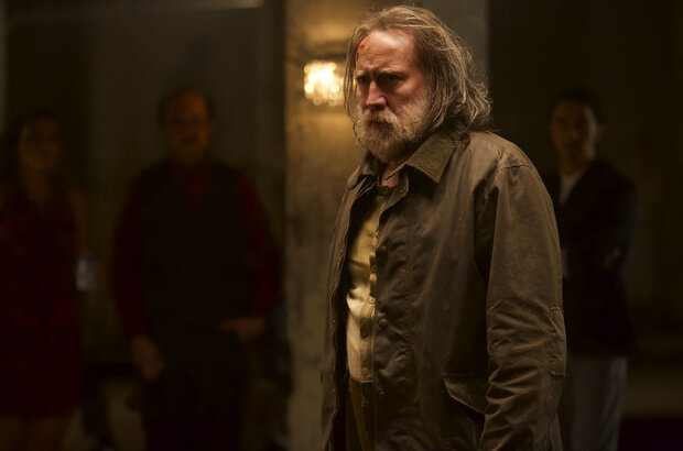 Pig (2021) - photo 2