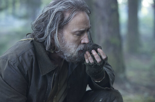 Pig (2021) - photo 6