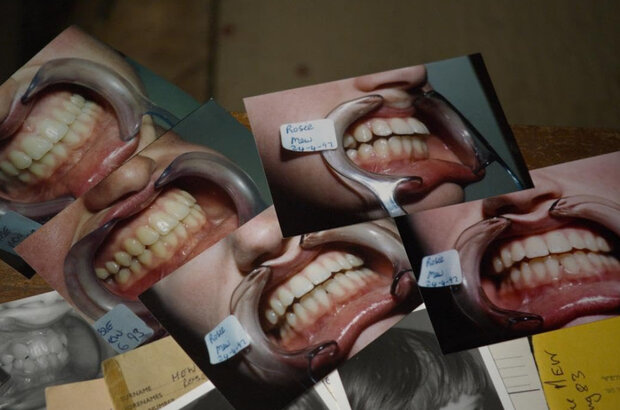 Open Wide (2024) - photo 4