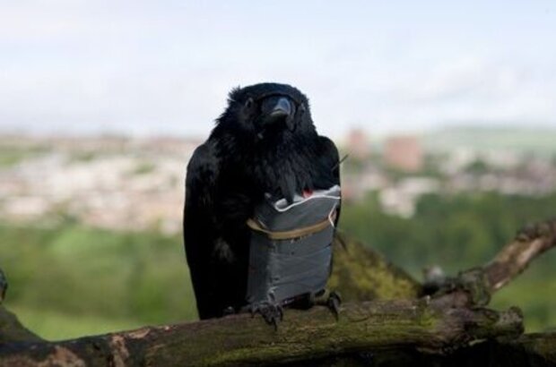 Four Lions (2010) - photo 7