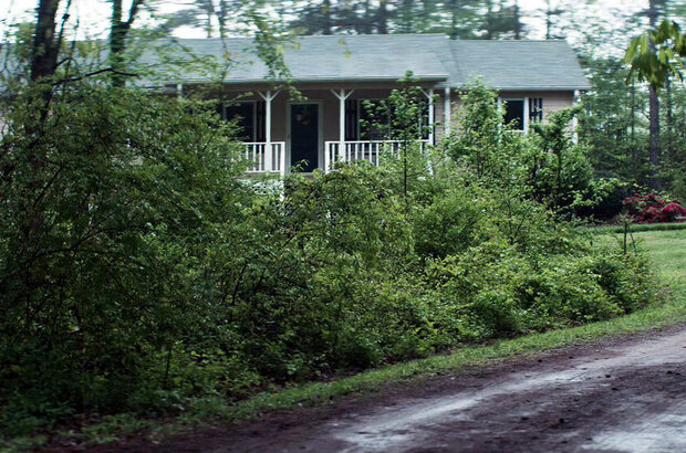 Tell Me Your Name (2018) - photo 5