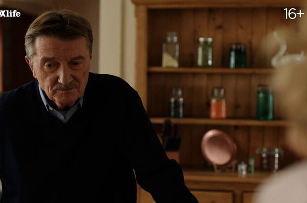 Family Games (2017) - photo 11