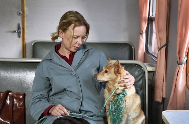 Fallen Leaves (2023) - photo 3