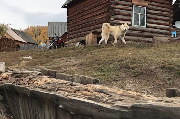 Всемирное наследие. Россия (2020) - photo 8