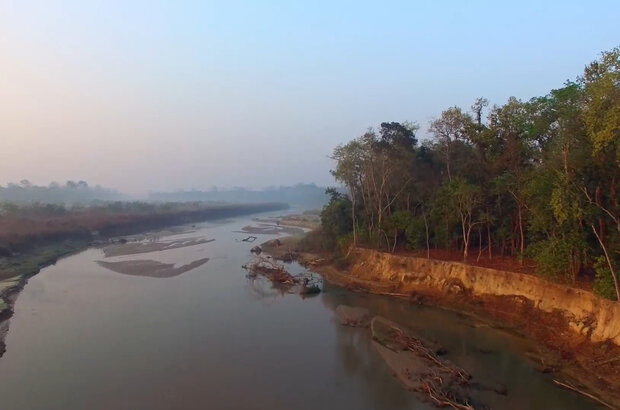 Shuklaphanta, the other wild nepal (2016) - photo 4