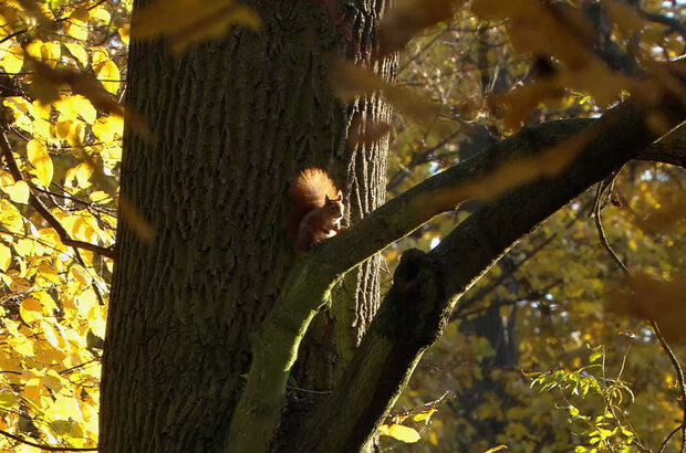 Течение времени (2020) - photo 7