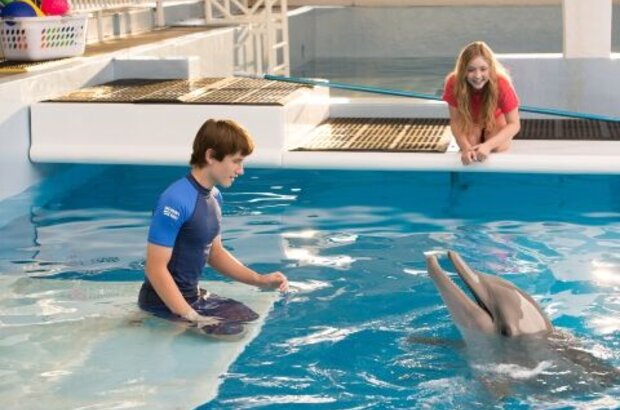 Dolphin Tale 2 (2014) - photo 4
