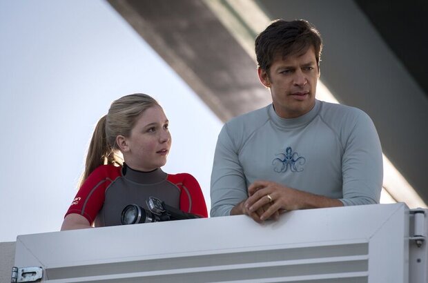 Dolphin Tale 2 (2014) - photo 14