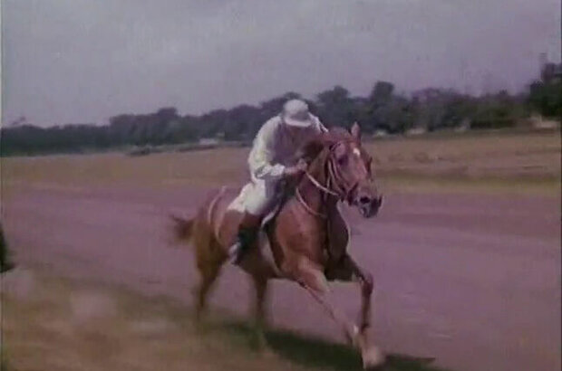 Favorit (1976) - photo 3