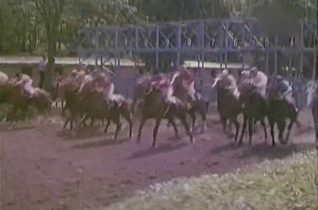 Favorit (1976) - photo 1