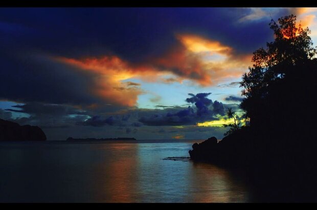 The Last Reef 3D (2012) - photo 2