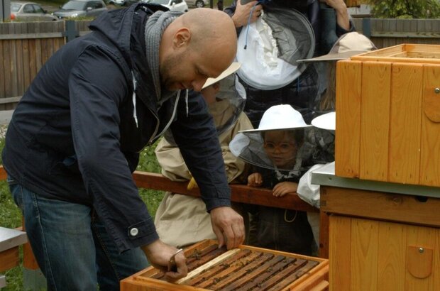 Honey Hunters (2016) - photo 4
