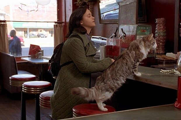 Эта дикая кошка (1997) - фото 2