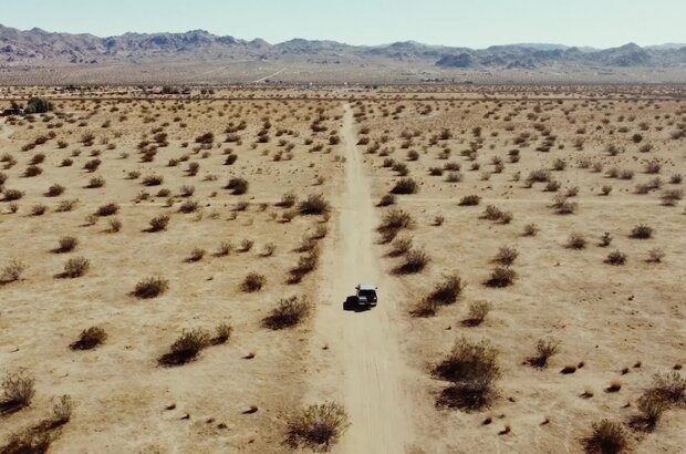 Foil (2023) - photo 2