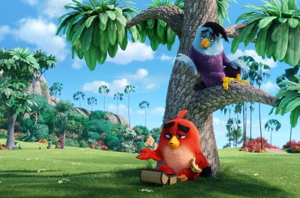 The Angry Birds Movie (2016) - photo 8