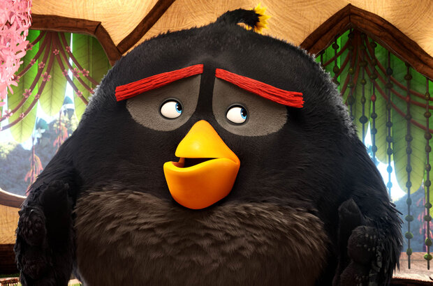 The Angry Birds Movie (2016) - photo 12