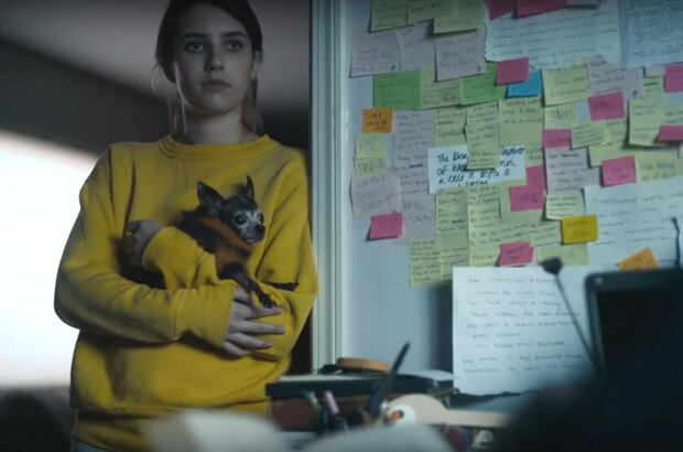 Palo Alto (2013) - photo 3