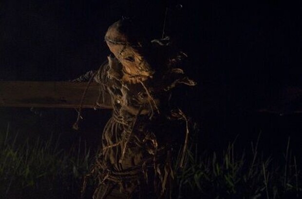 Husk (2010) - photo 1