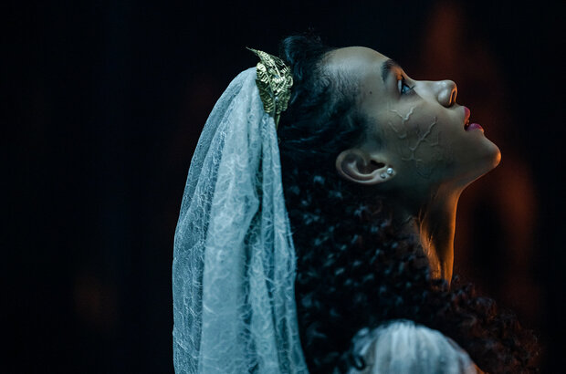 The Invitation (2022) - photo 2