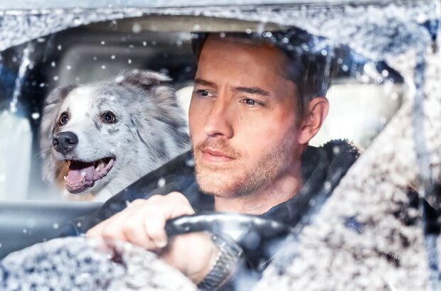 The Noel Diary (2022) - photo 2