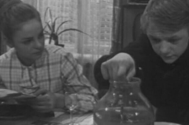 Я вас любил (1967) - фото 2