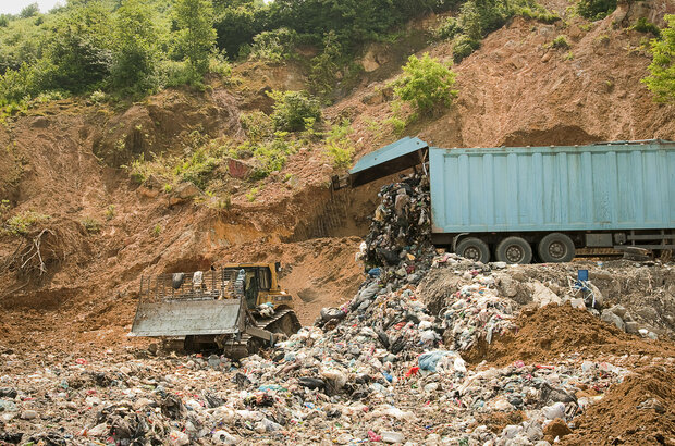Garbage in the Garden of Eden (2012) - photo 2