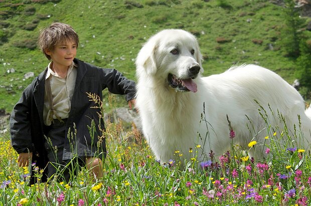 Belle and Sebastian (2013) - photo 1