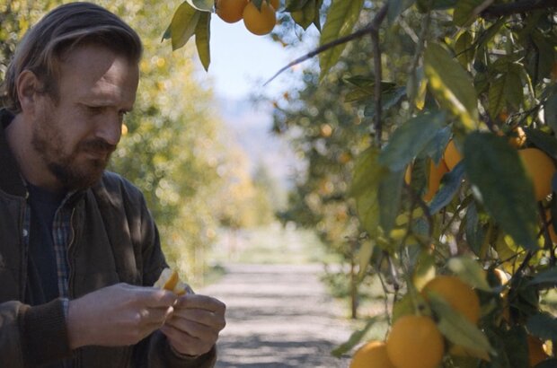 Windfall (2022) - photo 4