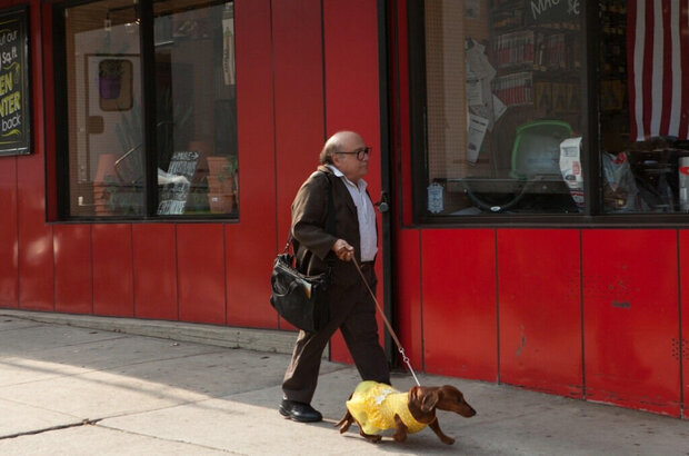 Wiener-Dog (2016) - photo 5