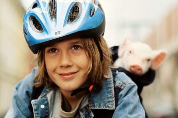 Rudy: The Return of the Racing Pig (2007) - photo 2