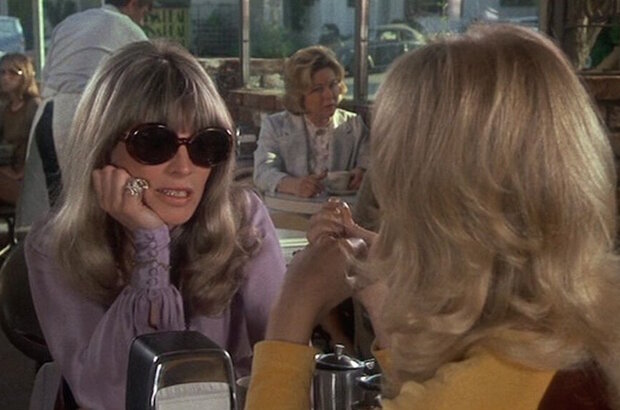 Shampoo (1975) - photo 2