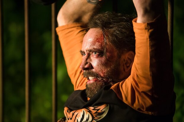 Mandy (2018) - photo 10