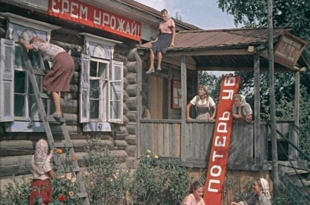 Guest from Kuban (1956) - photo 7