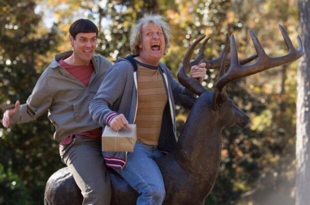 Dumb and Dumber To (2015) - photo 1