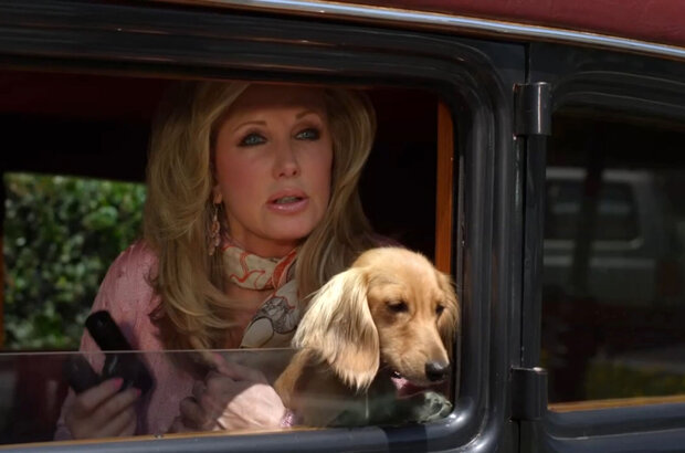 Wiener Dog Nationals (2013) - photo 1