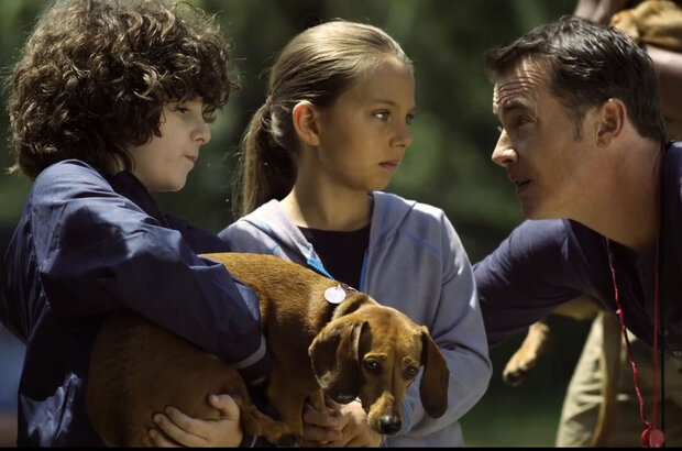 Wiener Dog Nationals (2013) - photo 6