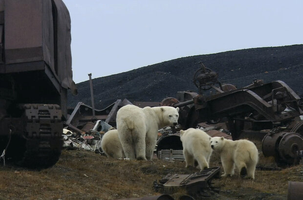 Самые опасные существа (2022) - фото 1