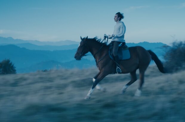 Elephant (2022) - photo 1