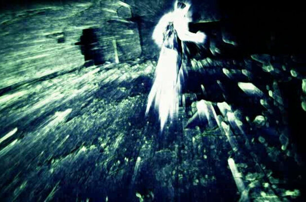 Spores (2011) - photo 2
