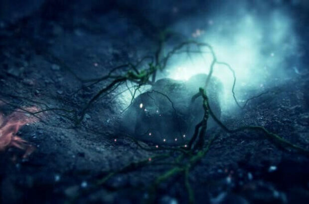 Spores (2011) - photo 4