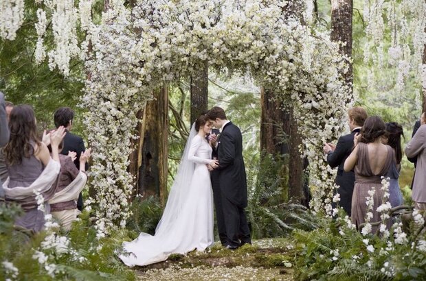 The Twilight Saga: Breaking Dawn - Part 1 (2011) - photo 39